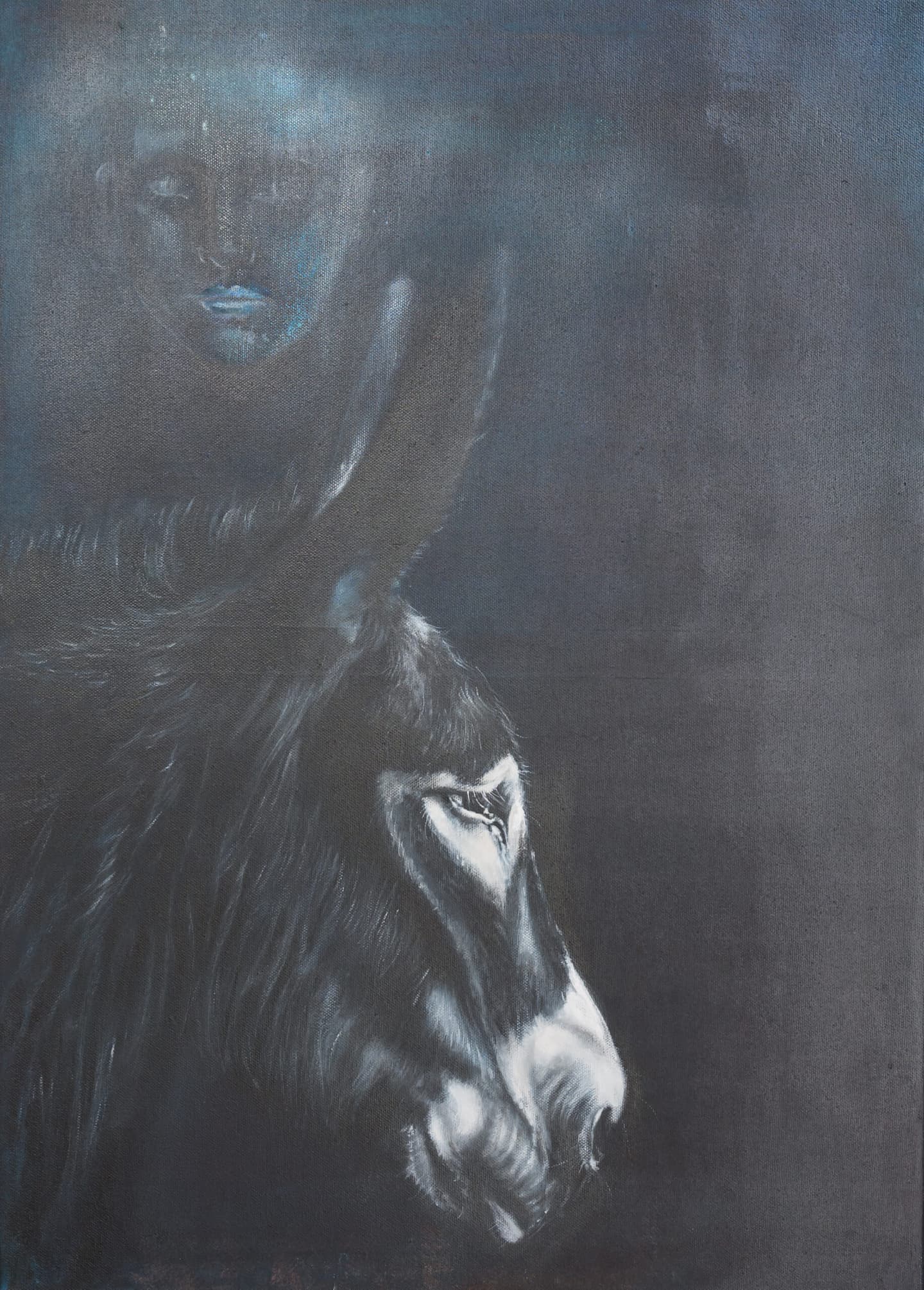 Maté Mermoud — photo 4