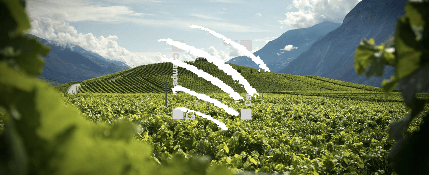 Domaine Claudy Clavien