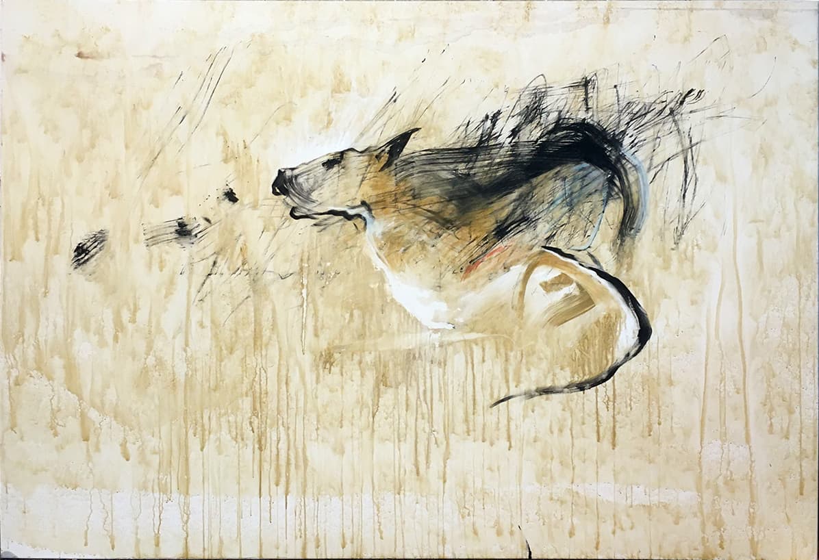Marie Gailland — photo 1