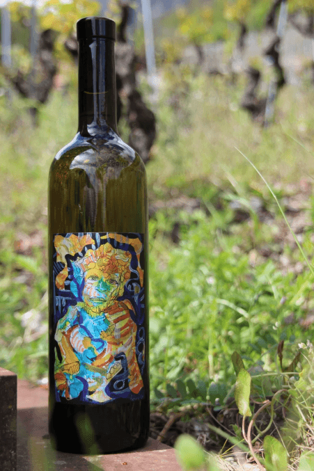 Domaine Claudy Clavien — photo 4