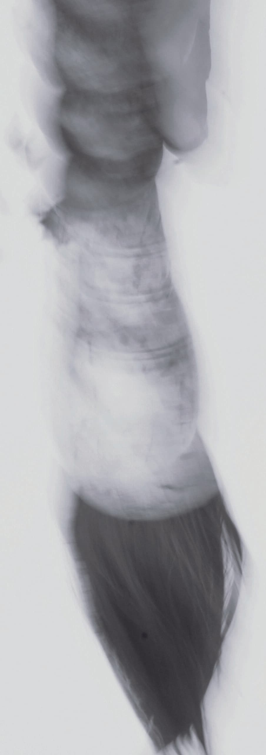 Laurence Bender — photo 2