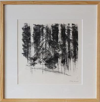 Pierre-Yves Gabioud — photo 2