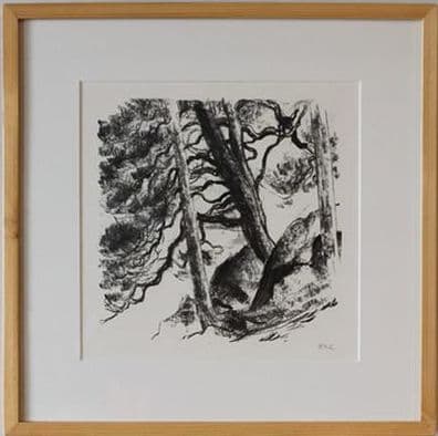 Pierre-Yves Gabioud — photo 4