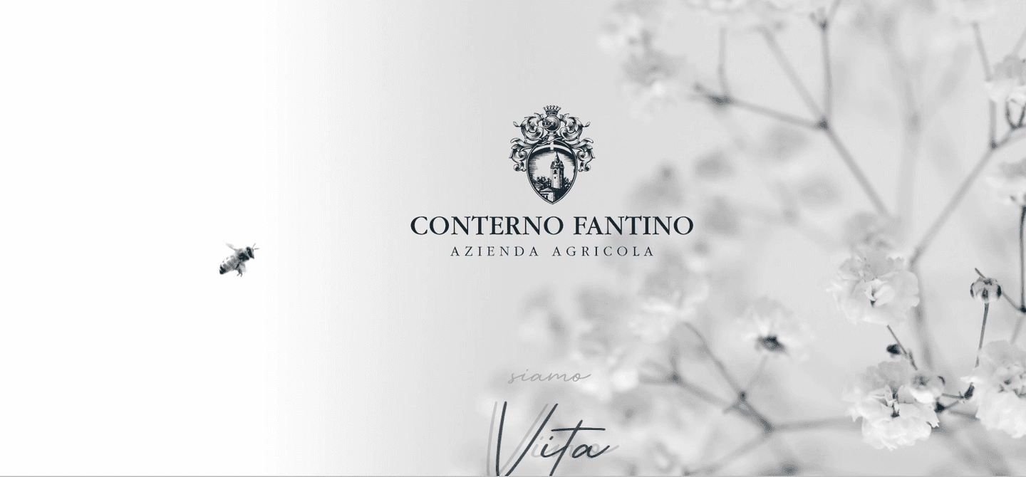 Cave Conterno Fantino