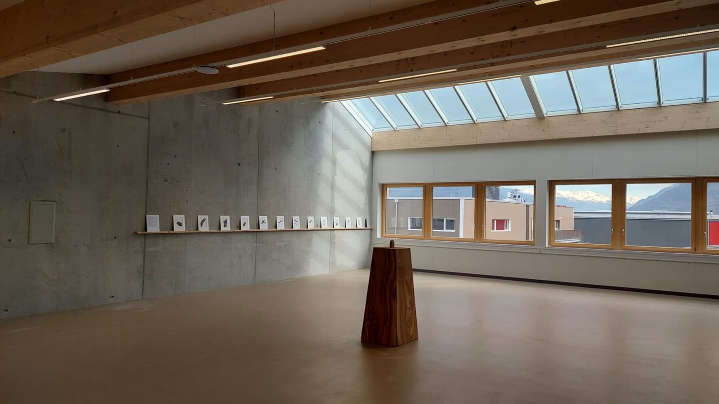Olivier Estoppey — photo 1