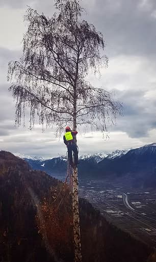 Eco Forêt — photo 1