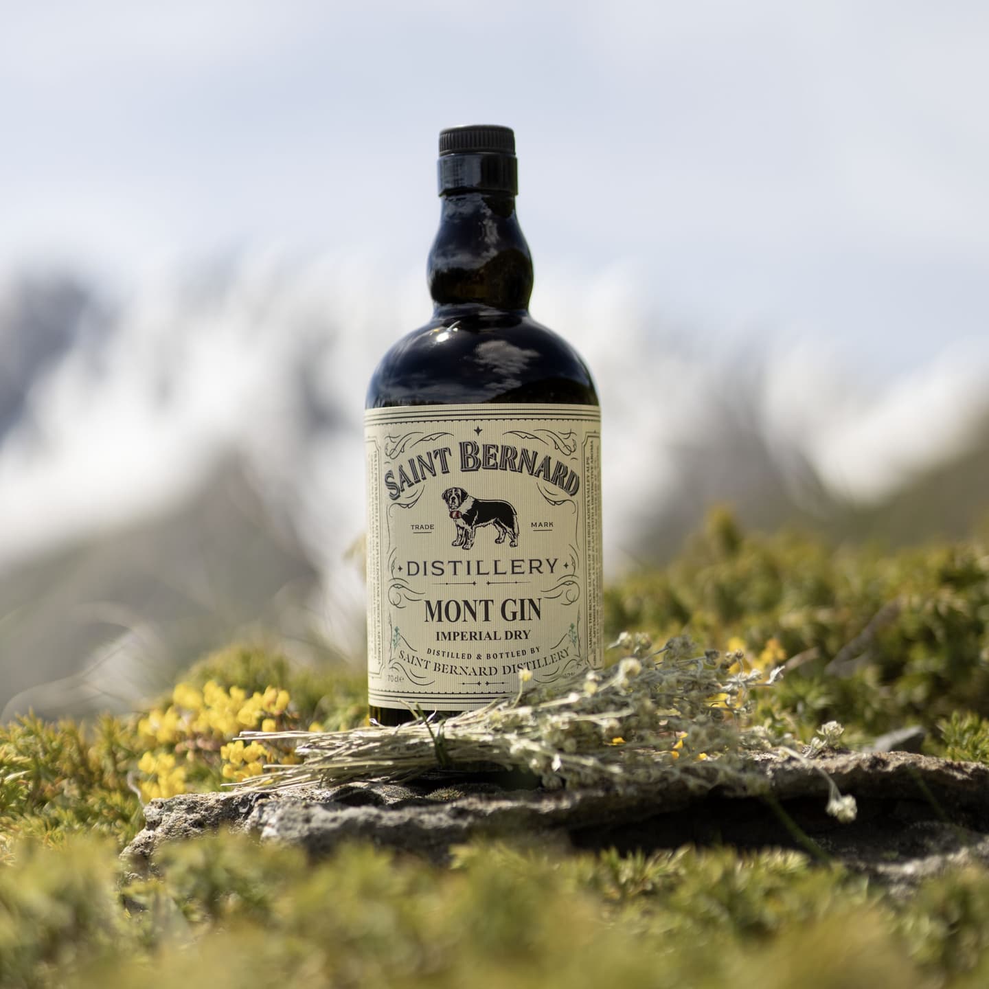 Visuel de collection pour Mont Gin Saint Bernard Distillery