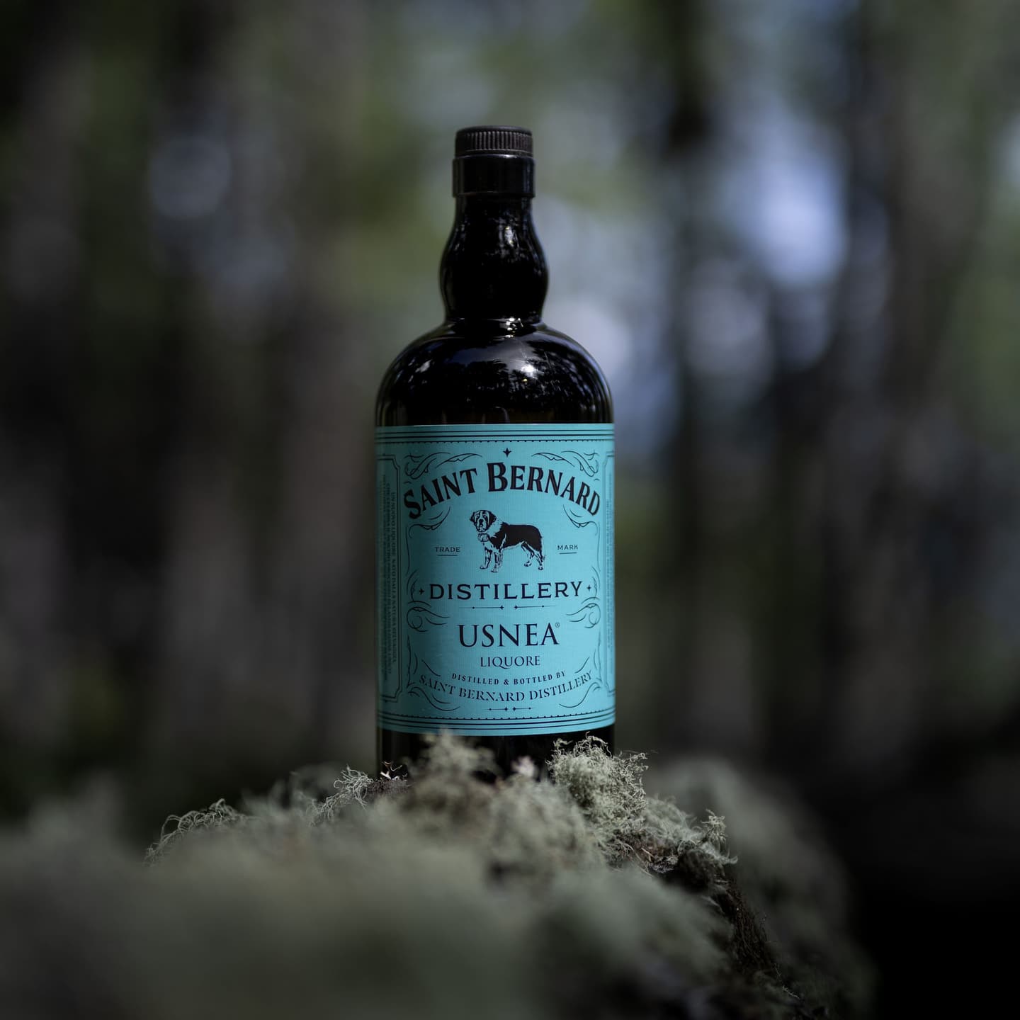 Visuel de collection pour LIQUEUR USNÉA Saint Bernard Distillery