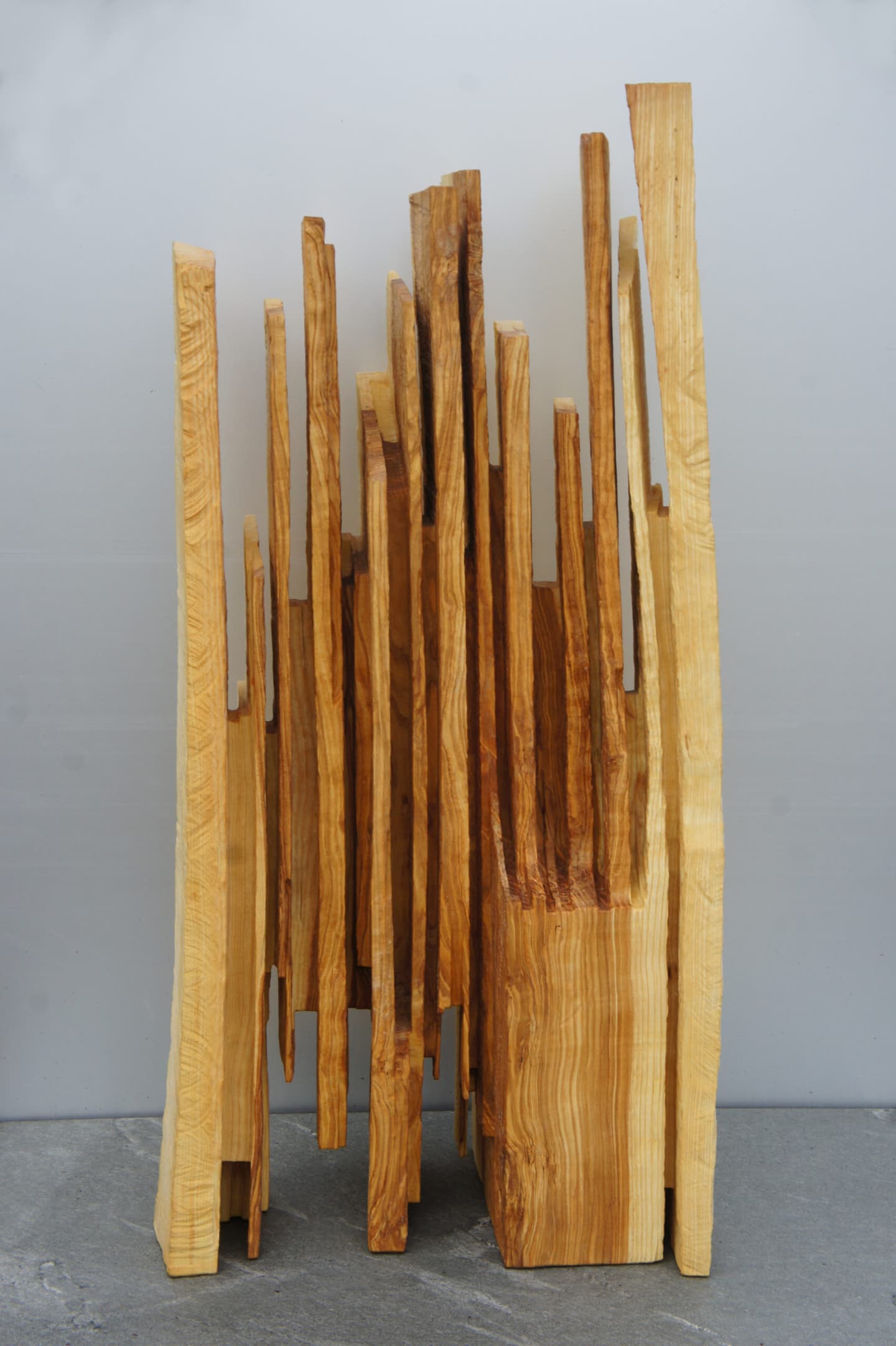 Eric Sansonnens — photo 7