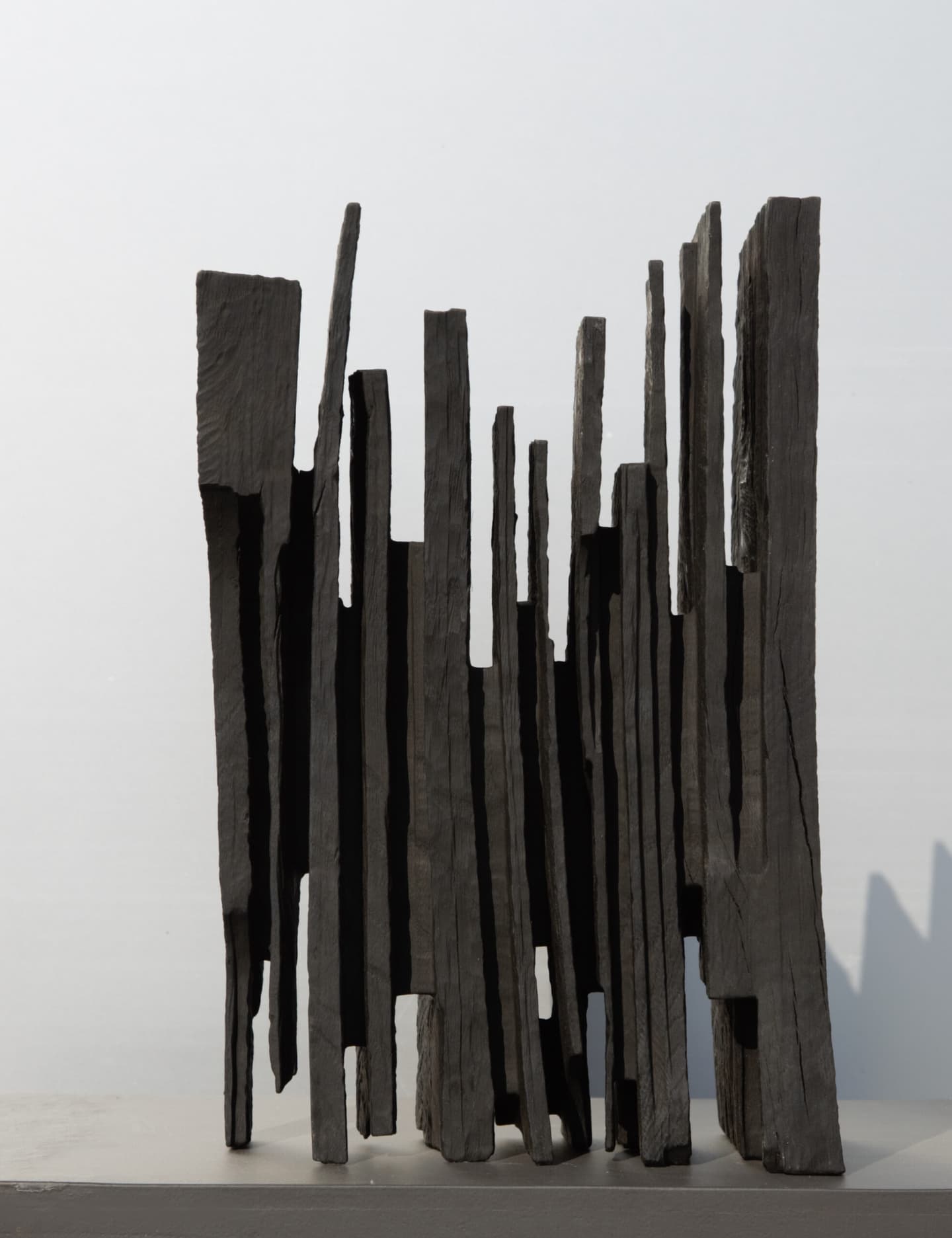 Eric Sansonnens — photo 6