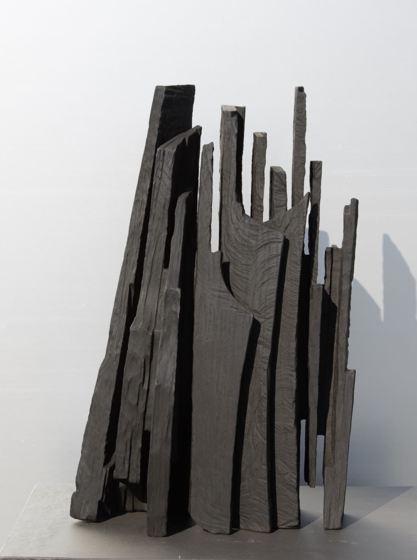 Eric Sansonnens — photo 8
