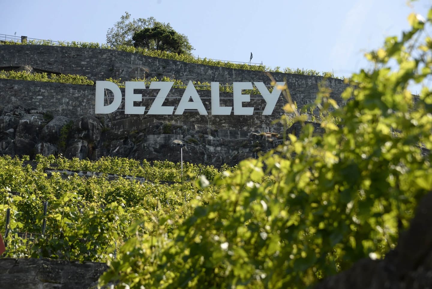 Domaine Jean-François Chevalley — photo 1